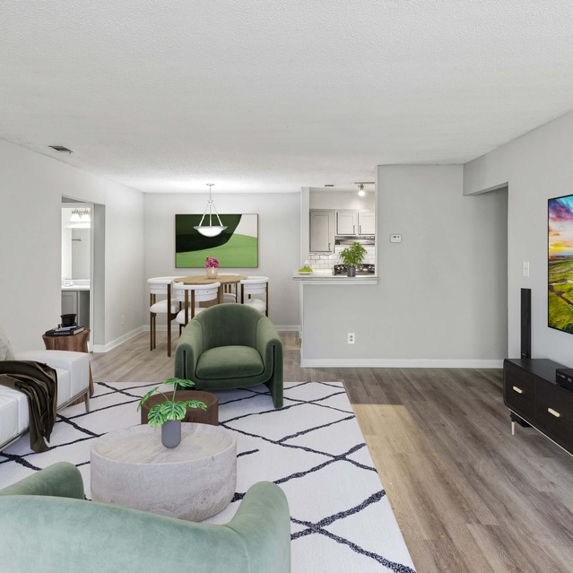 Hampton-Point-Apartments-McDonough-GA-Living Room